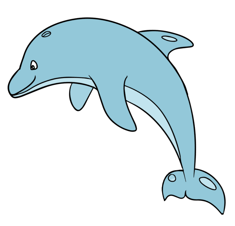 Dolphin12