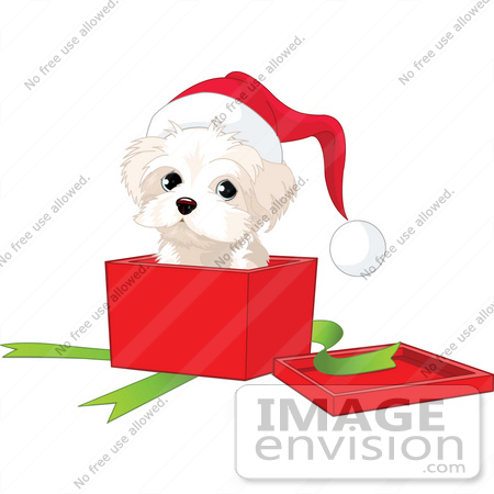     Out Of A Xmas Gift Box On A White Background   0044 0912 2217 3324