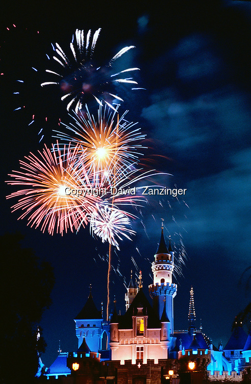 Pin Disneyland Castle Fireworks Disney Princess Real People Walt On