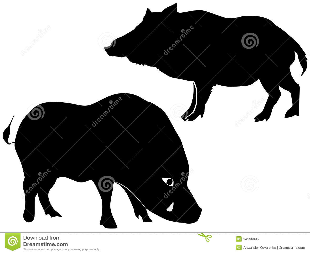 Silhouette Of Wild Boar Royalty Free Stock Photo   Image  14336085