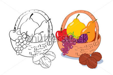 Vector Illustration Corbeille De Fruits Concept Dessin Anim  Fond