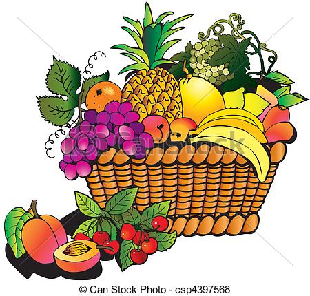 Vector Of Fruits   Beautiful Fruits With Basket Salubrious Food    
