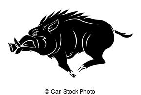 Wild Boar Illustrations And Stock Art  1131 Wild Boar