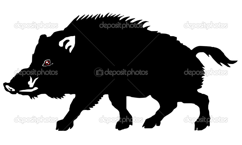Wild Boar On The White Background   Stock Vector   Fpainter7