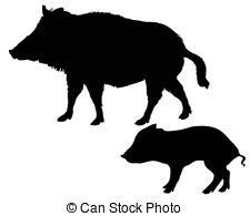 Wild Boars Illustrations And Clipart