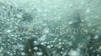Fish Spawning In Raging Waters Stock Footage   Video  48392530