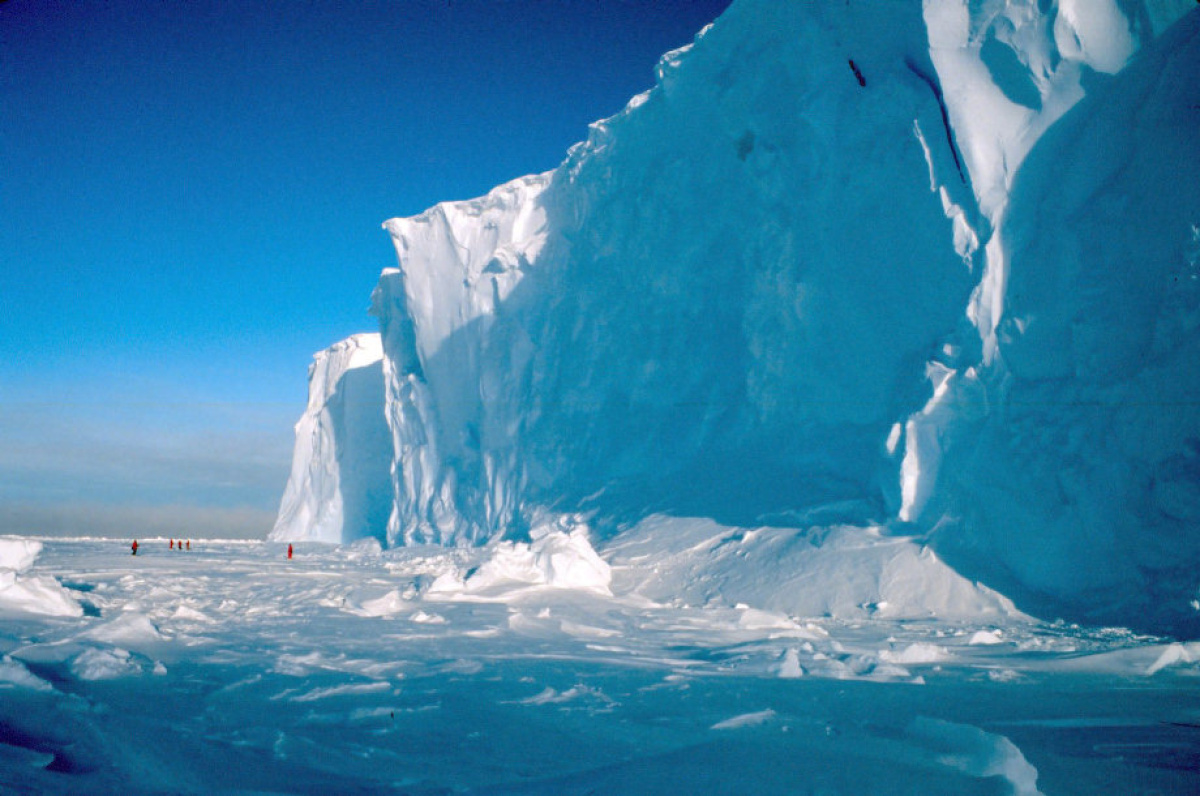 Melting Antarctic Icebergs Fight Back Against Global Warming   Toronto