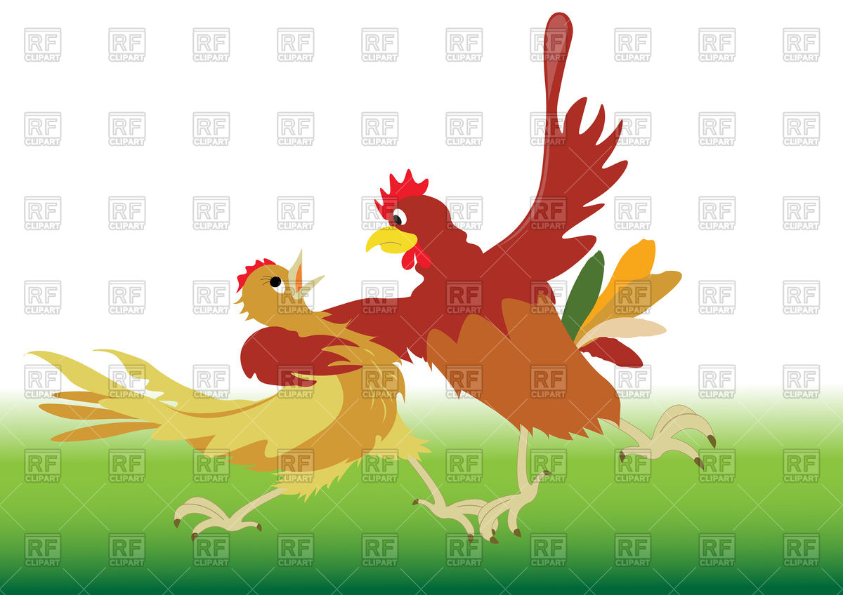 Rooster And Chicken Dancing Tango In Cartoon Style 76878 Download