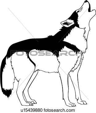 Clipart    Animal Coyote Howl Southwest Wild Wolf   Fotosearch