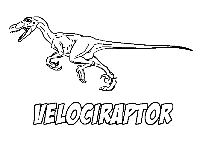 Dinosaur Black And White Outline   Free Cliparts That You Can    