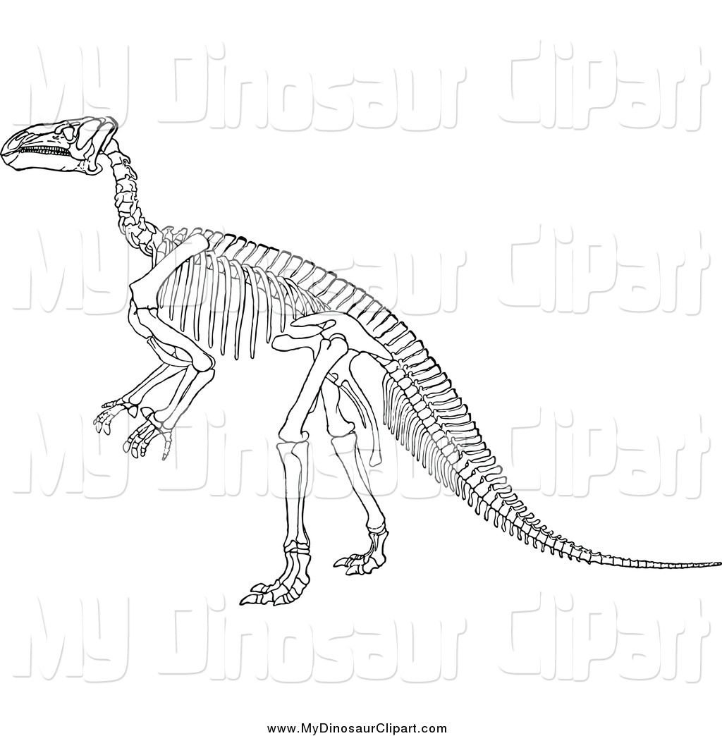 Dinosaur Skeleton Black And White Running Brontosaurus Dinosaur Black    