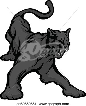 Drawing   Panther Mascot Body Vector Image  Clipart Drawing Gg60630631