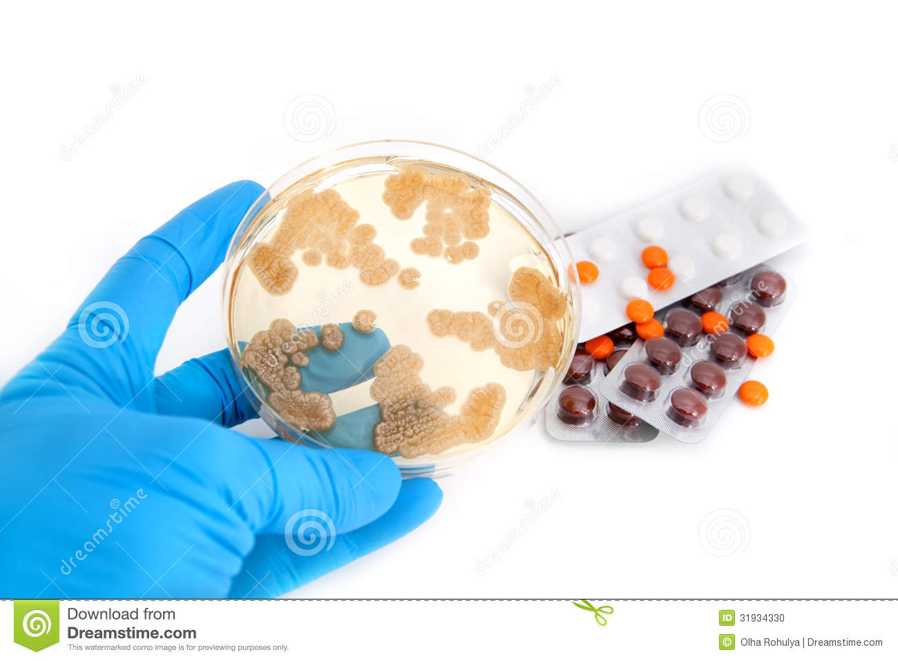 Fungi On Agar Plate And Pills Stock Photo   Image  31934330