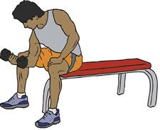 Go Back   Pix For   Muscular Strength Clipart