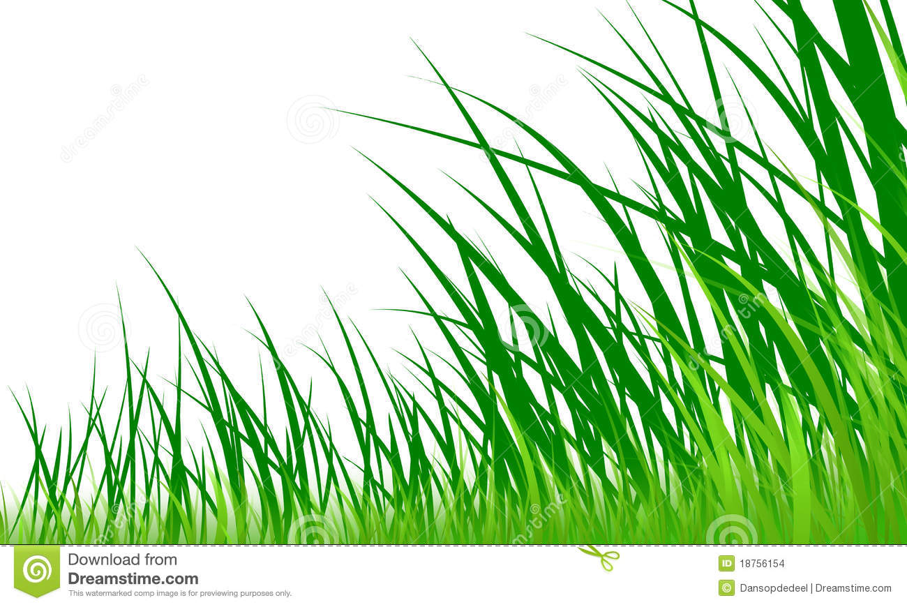 More Similar Stock Images Of   Green Grass Graphic