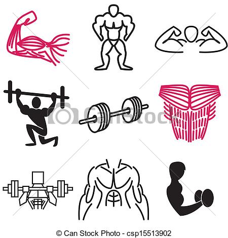 Muscular Strength Clipart Vector Muscle And Sports
