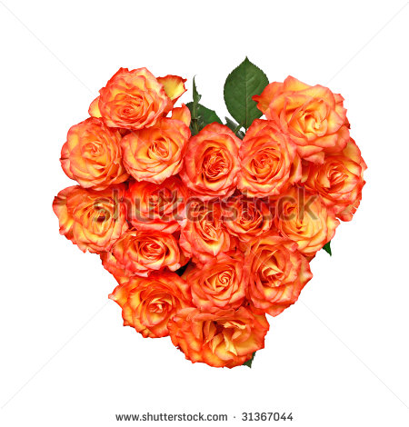 Orange Roses  Valentine S Day Heart Shape Bouquet  Isolated