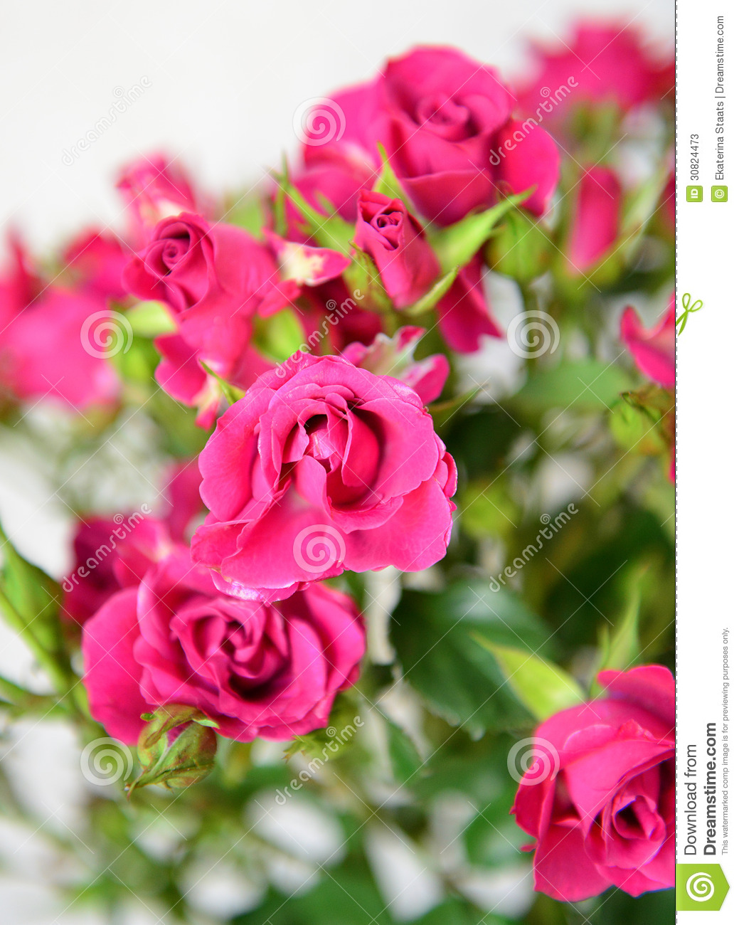 Pink Roses Bouquet For Valentine S Day