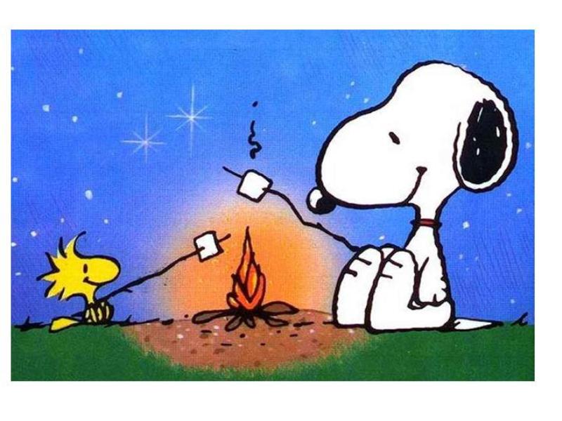 Snoopy Camping