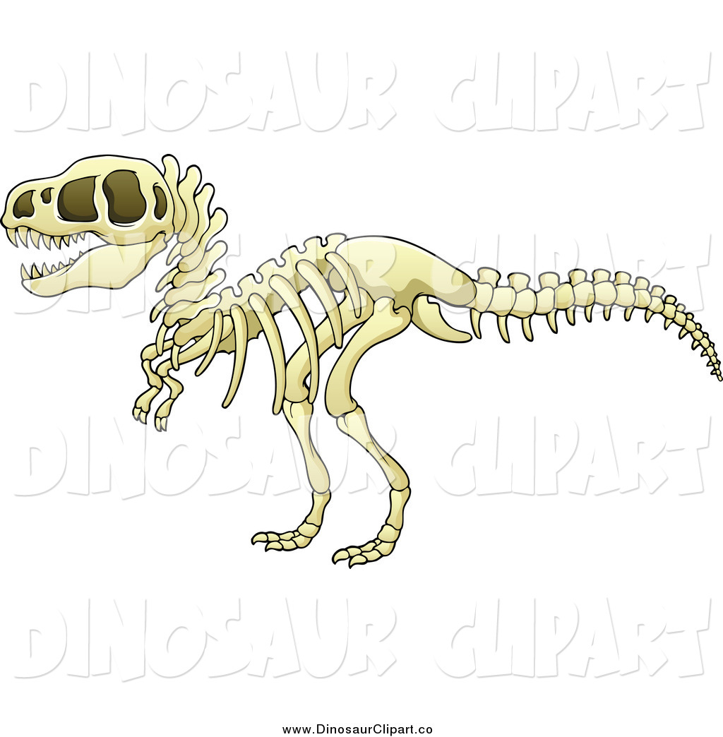       Vector Clip Art Of A Tyrannosaurus Rex Dino Skeleton By Visekart