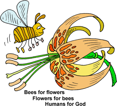 Bees For Flowers Flowers For Bees Humans For God   Christart Com