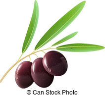 Black Olives   Vector Illustration Of Detailed Black Olives