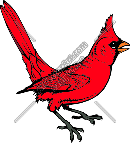 Cardinal04v4clr Clipart And Vectorart  Animals   Birds Vectorart And