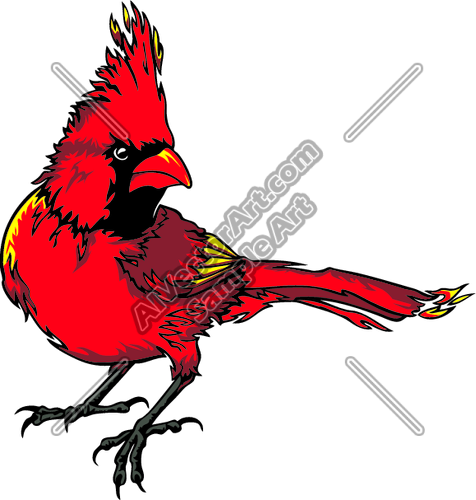 Cardinalm08 Clipart And Vectorart  Sports Mascots   Cardinals And