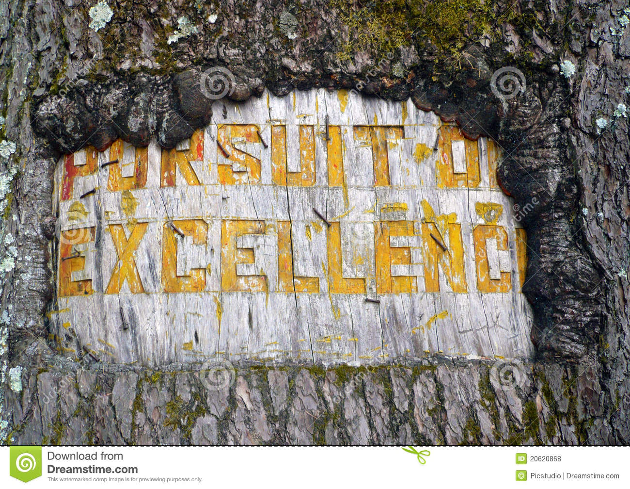 Pursuit Of Excellence Royalty Free Stock Photos   Image  20620868