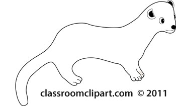 Animals   Ferret Outline   Classroom Clipart