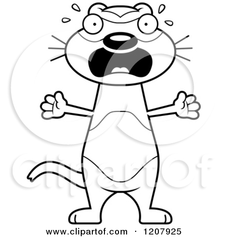 Black And White Screaming Skinny Ferret   Royalty Free Vector Clipart