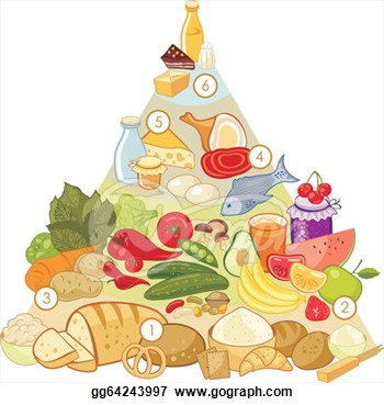    Nutrition Pyramid With Numbered Food Groups  Vector Clipart Gg64243997