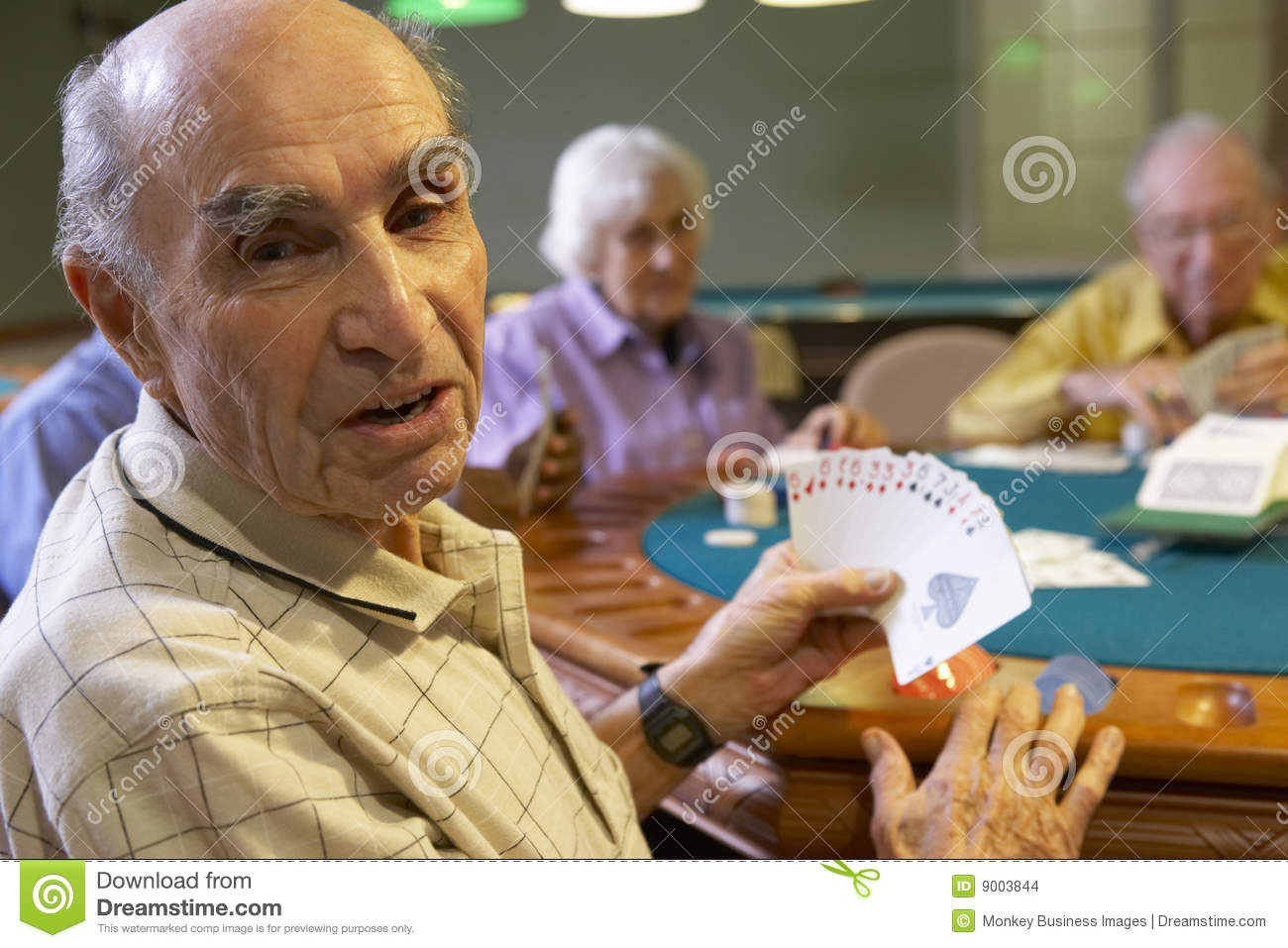 Stock Images  Senior Adults Playing Bridge