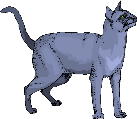 Blue Cat Standing Free Animal Clipart Download This Blue Cat