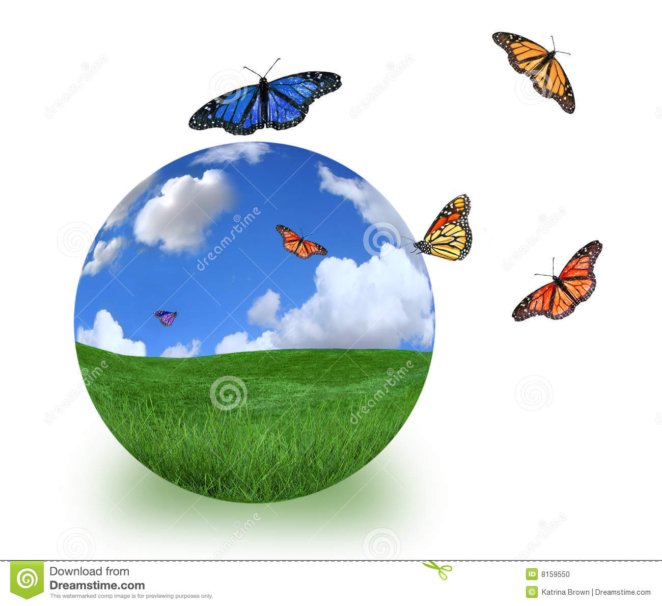 Bright Future Of The Planet Stock Photo   Image  8159550