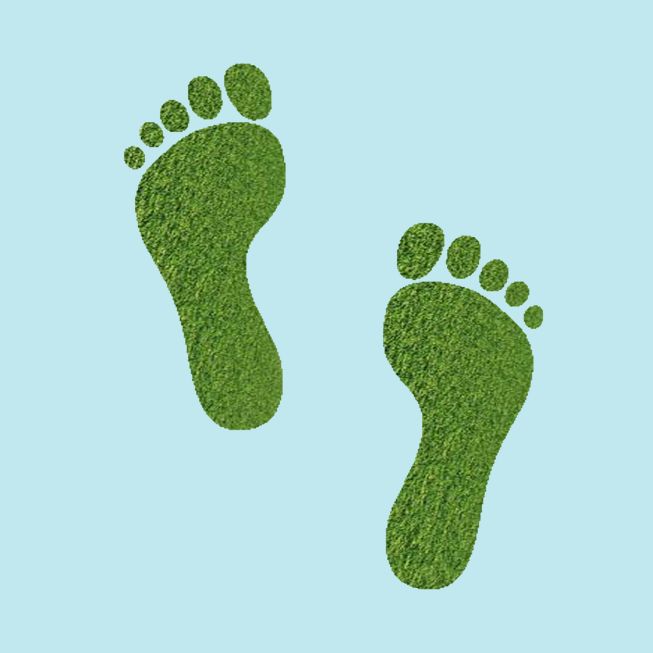 Ecological Footprint Environmental Footprint Extra Large Jpg