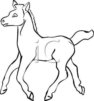 Royalty Free Foal Clip Art Horse Clipart