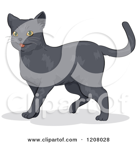 Russian Blue Cat   Royalty Free Vector Clipart By Bnp Design Studio