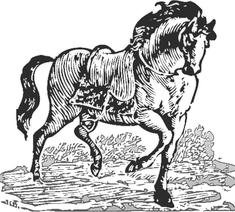 Some Of This Month S Most Viewed Horse Clipart    