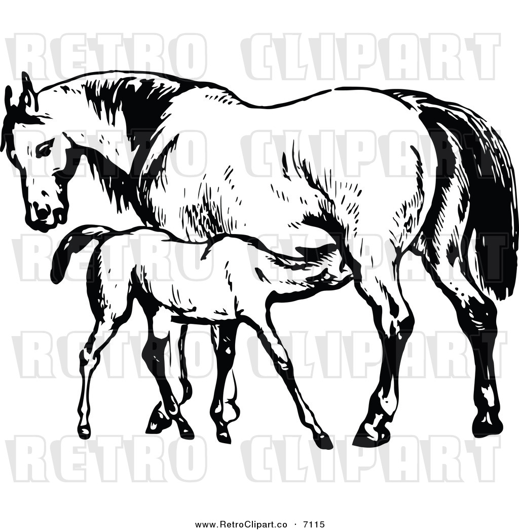 Vector Clipart Of A Retro Black And White Mare Horse And Colt By    