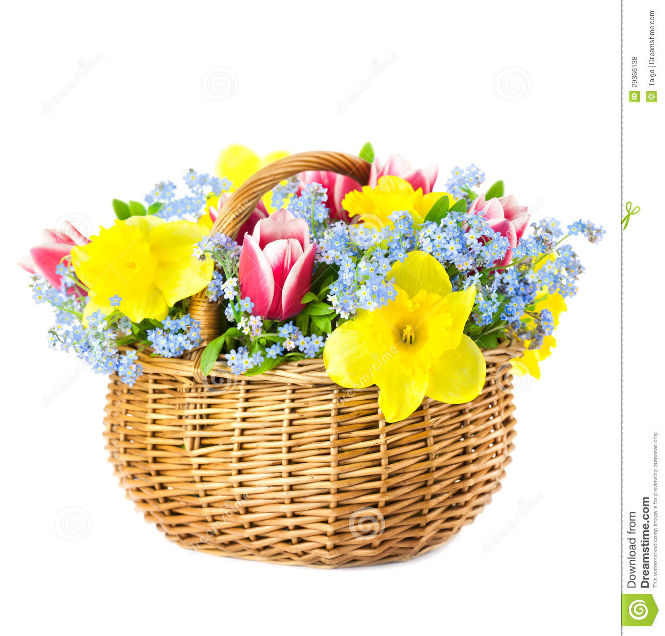 Beautiful Bouquet Of Spring Flowers Into Basket   Isolated On White    