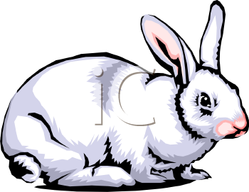 Rabbit Clip Art 0511 1003 2903 2046 Realistic White Rabbit Clipart