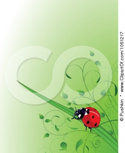 Spring Background Ladybug Vector9 245x300 Jpg