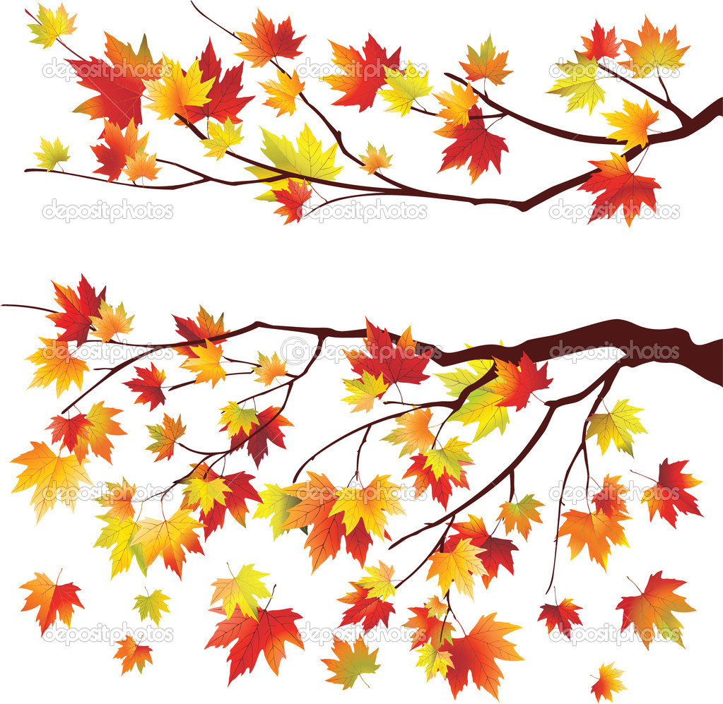 Autumn Maple Tree Branche   Stock Vector   Megapixelina  5446319