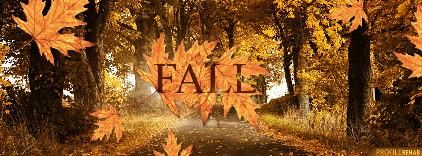 Fall Leaves Pictures For Facebook Cover   Autumn Facebook Cover