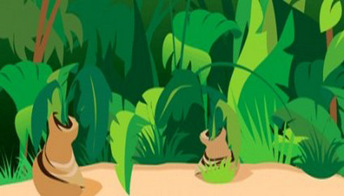 Jungle Clipart Background Name  Jungle Scene Background