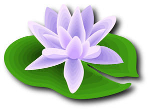 Lily Pad With A Lotus Flower In A Lily Pond 0522 1008 2723 4339 Smu