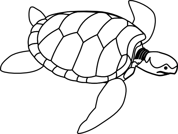 Turtle Outline Clip Art At Clker Com   Vector Clip Art Online Royalty    