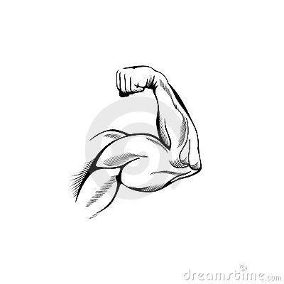 Arm Muscles Stock Photography   Image  19664602