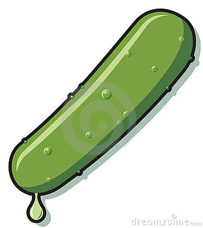 Christmas Pickle Clip Art Pickle 18394509 Jpg